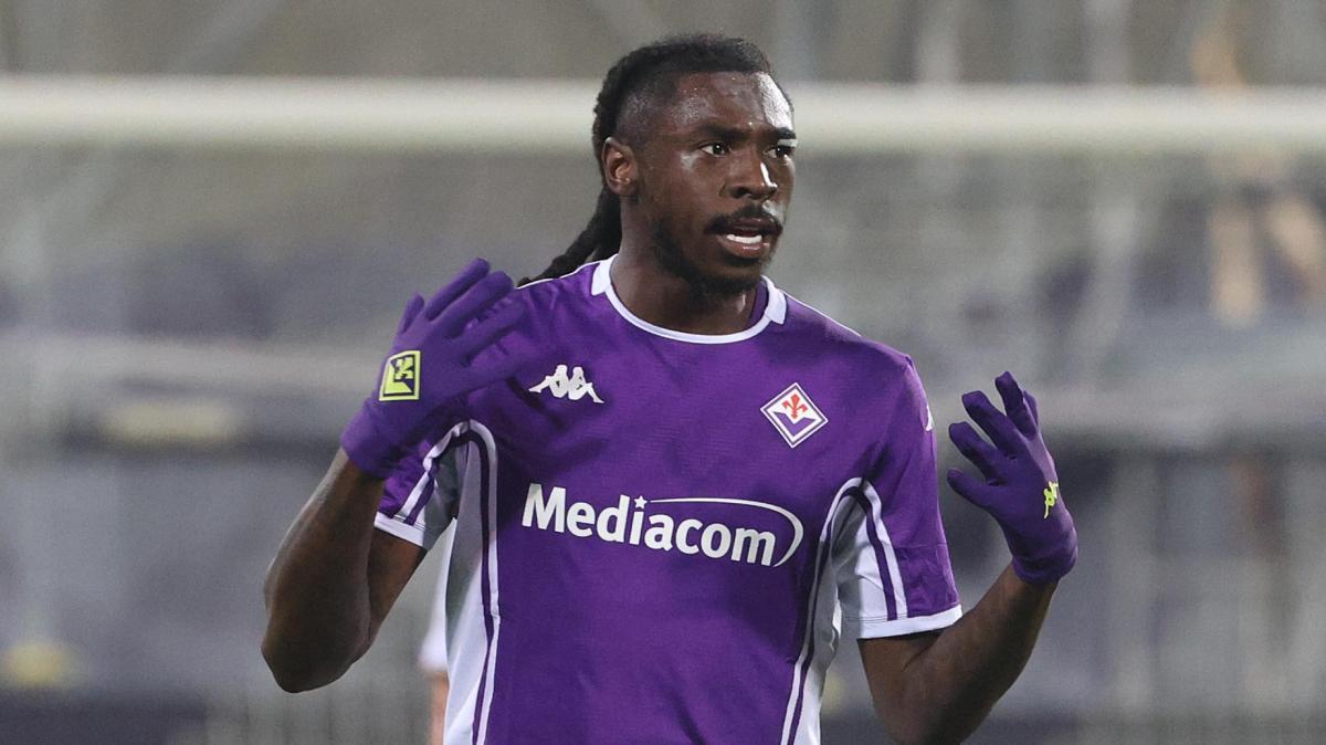 Immagine strip Primo Piano n.2