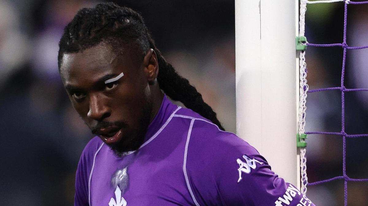 Immagine strip Primo Piano n.3