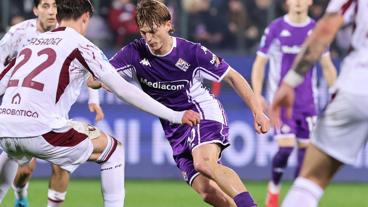 Immagine strip Primo Piano n.2