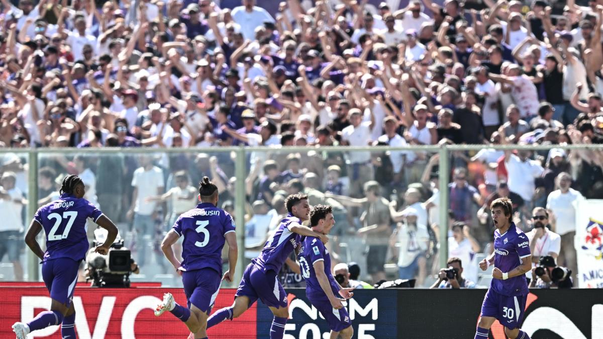 Fiorentina-Napoli, tensione in tribuna ma niente rissa: ecco cosa è successo