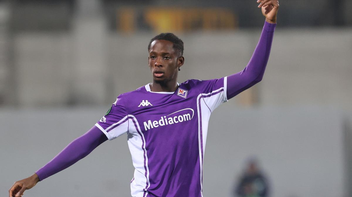 Immagine strip Primo Piano n.3