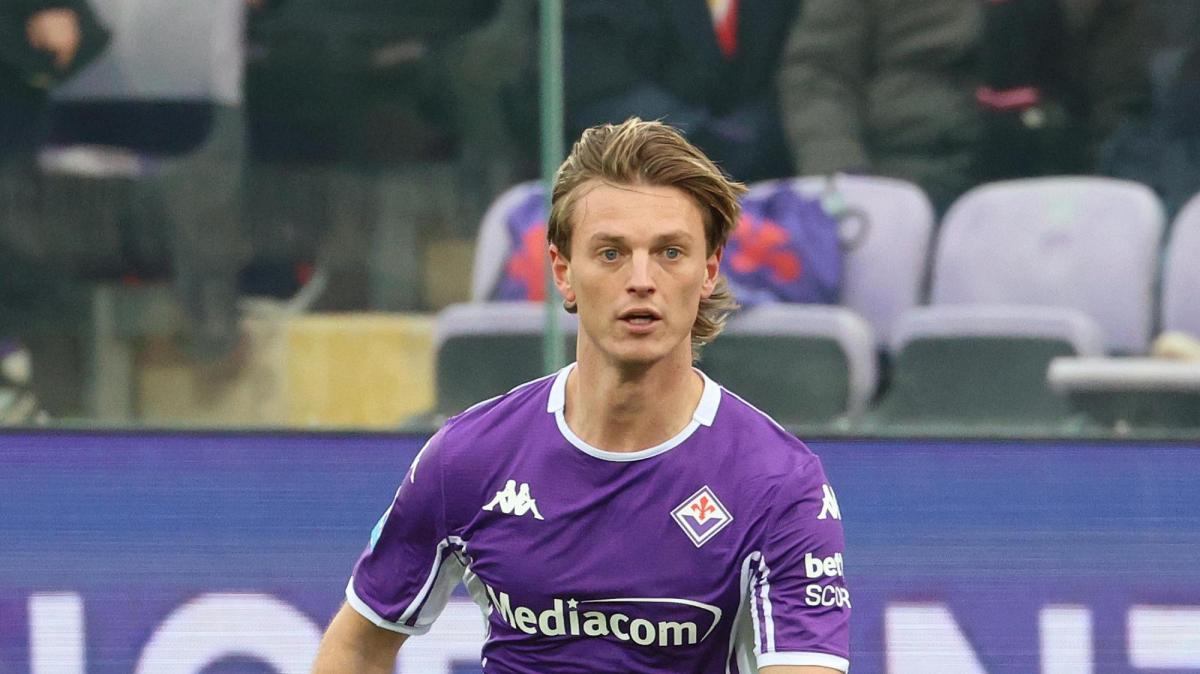 Immagine strip Primo Piano n.3