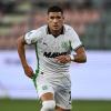 Immagine news News Calcio n.1