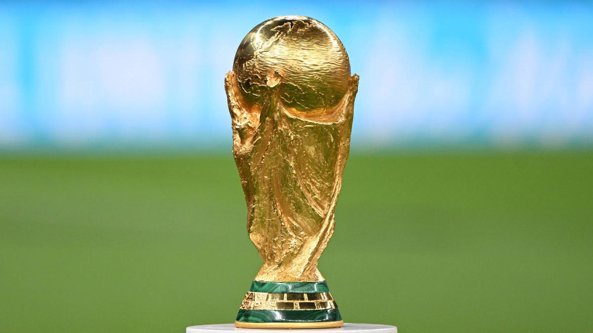 Mondiali, partenza rinviata per il Sudafrica: la Nazionale non ha ricevuto i visti