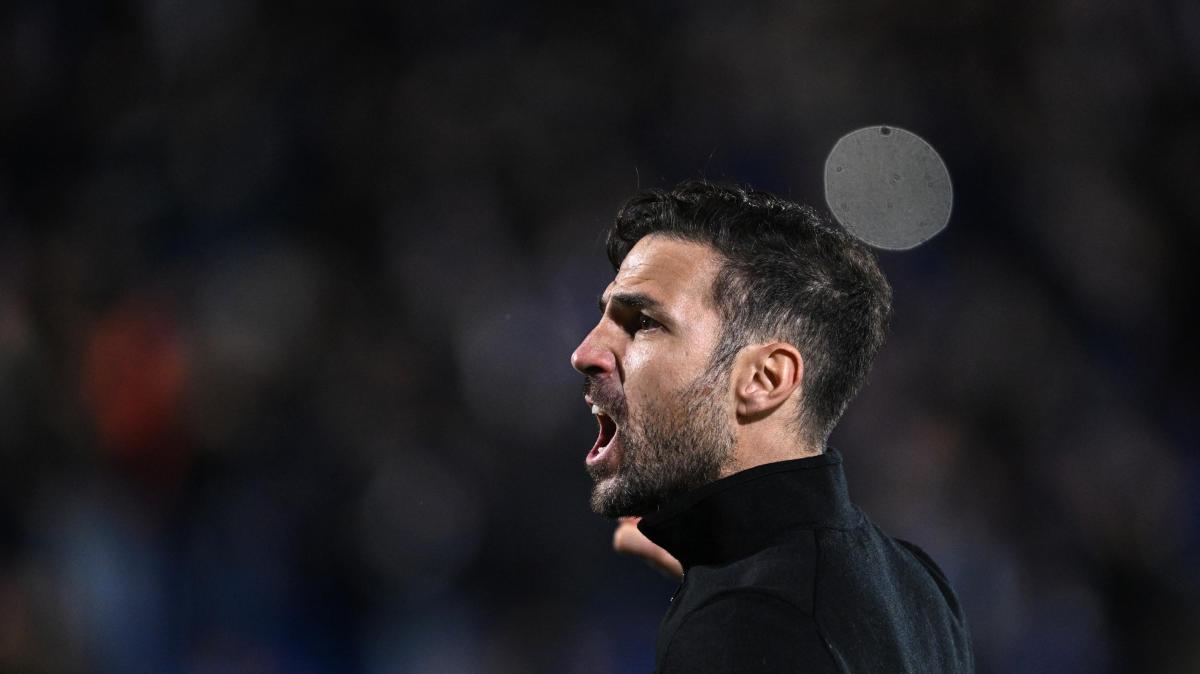 Como, Fabregas: "La nostra Champions è quella del valore e dell'umiltà"