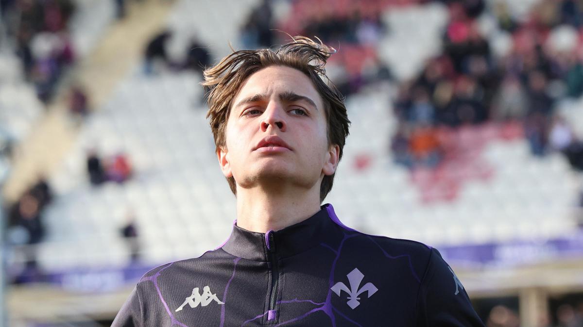 Modena, vicino Harder: sondaggi per Azzi e Hernani, ma c'è anche il Palermo