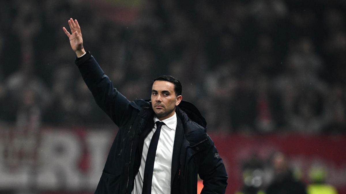 Atalanta, Palladino: "Mi è piaciuta la risposta dei ragazzi. Episodi arbitrali? Rispetto le decisioni"