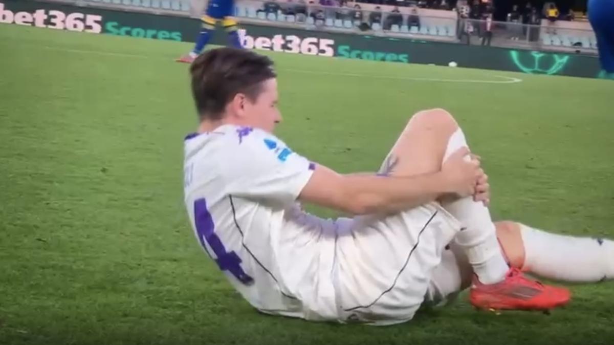 Verona-Fiorentina, Fagioli segna dopo un'interruzione di Guida: proteste gialloblù