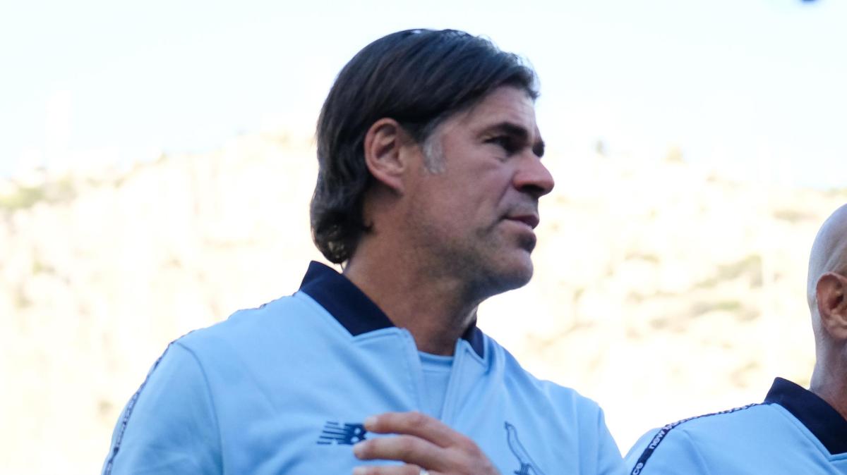 Sottil contro Alvini: "Dichiarazioni non professionali"