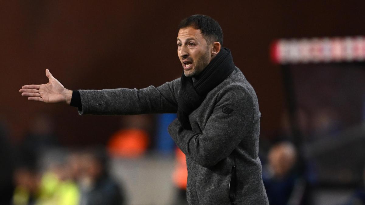 Il Fenerbahçe esonera Domenico Tedesco: Zeki Murat Göle nominato allenatore ad interim