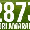 Reggina, chiusa la campagna abbonamenti: 2873 il numero finale 