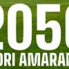 Campagna abbonamenti Reggina: 2056 i rinnovi