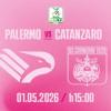 Palermo-Catanzaro, il risultato non conta ma quante recriminazioni per entrambe le formazioni! 