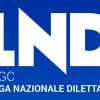 Playoff Serie D - girone I: domenica 11 maggio in campo le quattro squadre 
