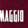 Reggina: il club amaranto si prepara al mese di maggio