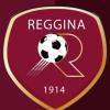 Reggina, inibizione di 45 giorni per il presidente Minniti e multa al club amaranto
