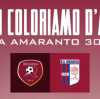 Reggina - Vibonese: indetta la Giornata Amaranto