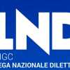 Stagione 2025/2026: le date di Serie D, Juniores e Coppa Italia Serie D 