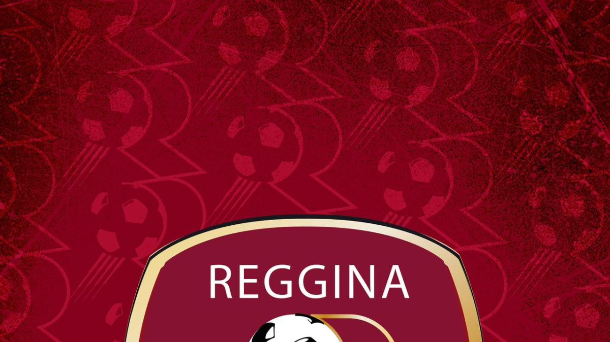 Reggina, comunicato del club amaranto: “Continuiamo a lottare”