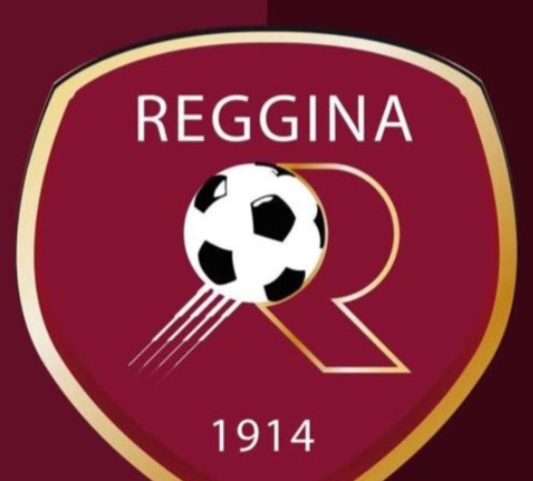 Reggina, inibizione di 45 giorni per il presidente Minniti e multa al club amaranto