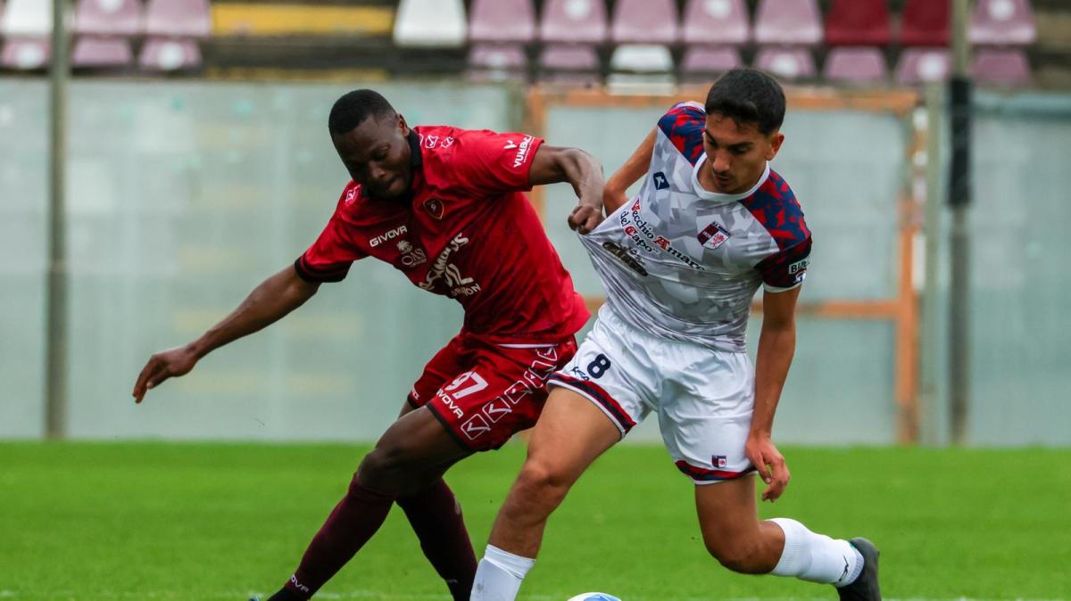 Reggina - Vibonese, il derby va agli amaranto: termina 3-0