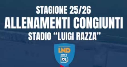 Pareggio a reti inviolate tra Vibonese e Mesoraca