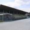 ESCLUSIVA LGI: UDINESE-SASSUOLO, DOMENICA ALLE 11:30 IN DIRETTA SUL NOSTRO CANALE YOUTUBE