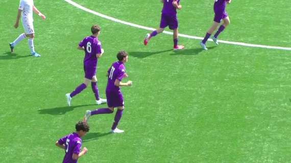 La Fiorentina ribalta il Monza: Barzagli protagonista assoluto al Viola Park