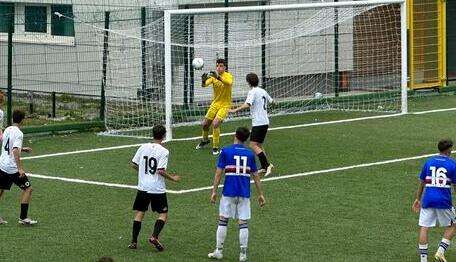Sampdoria-Spezia U17