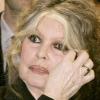 NEWS | È morta Brigitte Bardot: icona del cinema. Aveva 91 anni