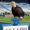 Lazio, presentata la nuova aquila: la foto all'Olimpico