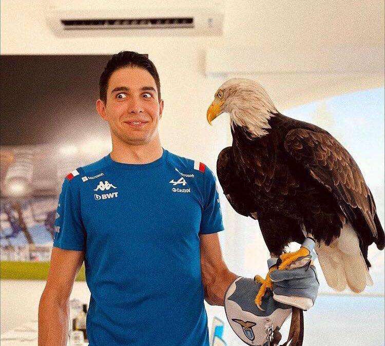 Formula 1, Ocon: "Sono venuto qui per Immobile perché lui..."