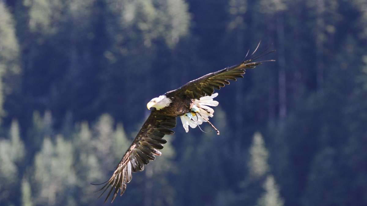 Un solo giorno ancora: only the brave happen to arrive...
