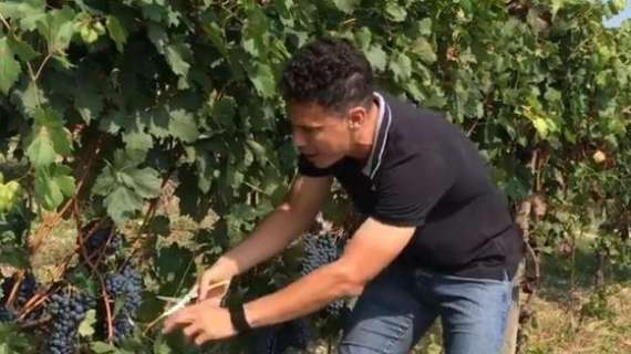 La nuova vita di Hernanes. L'ex Lazio apre un'azienda vitivinicola: “Ca' Del Profeta”