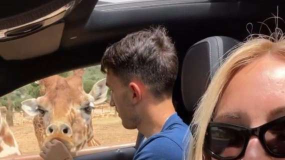 Cataldi e famiglia tra tigri e giraffe: ecco la visita allo Zoo Safari! - FOTO