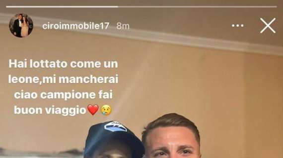 Lazio morto il piccolo Alessio Immobile