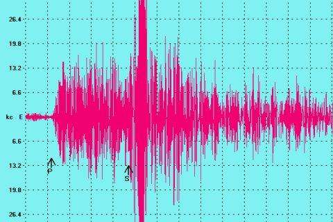 Abruzzo, ancora scosse: salgono a 291 i morti. La terra trema anche nel Senese