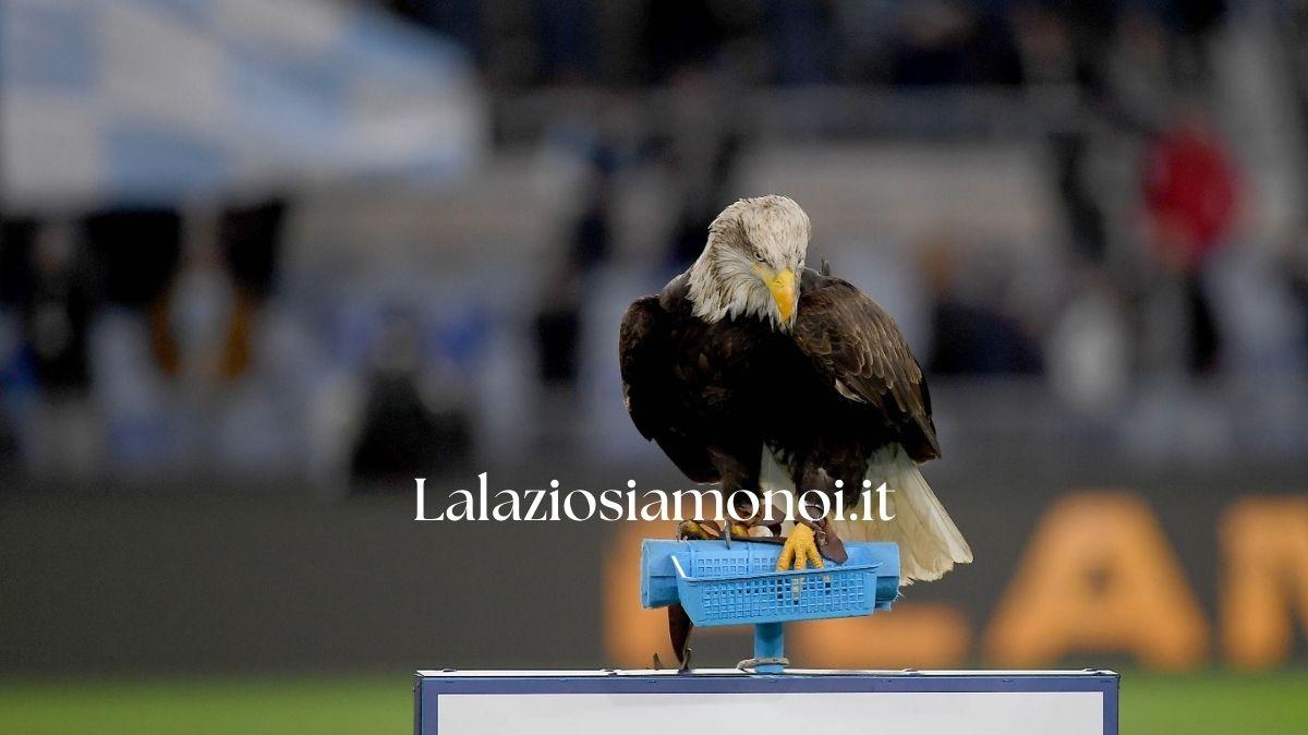 Lazio, buona la prima per Flaminia: esordio e vittoria