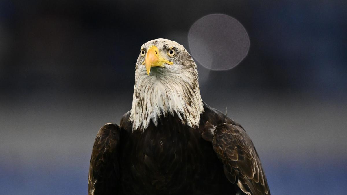 Lazio, il tuo è il logo più longevo della Serie A: la classifica