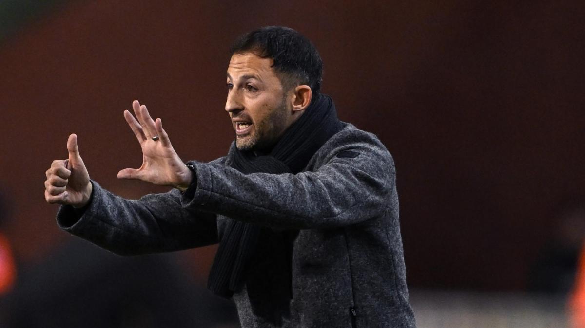 Lazio, nuovo nome per la panchina: spunta l'ex c.t. del Belgio