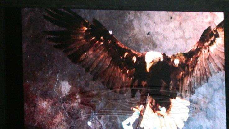 Presentazione ufficiale della Lazio.. La vera star è Petkovic: "Cominceremo subito a farvi felici".. Il capitano Rocchi: "Vogliamo vincere i derby"- PHOTOGALLERY