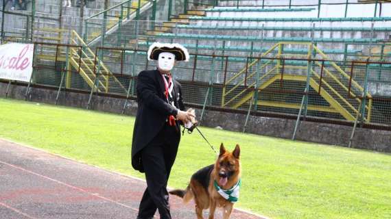 Inghilterra, partita rinviata dall'arbitro a causa di un...cane