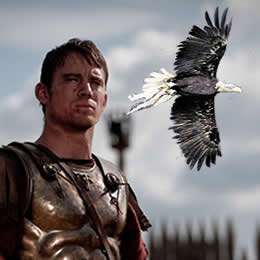 Simbolo di un impero, emblema di una tradizione: l'aquila è Roma