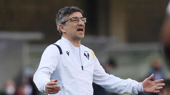 Hellas Verona, espulso Juric dalla panchina: non ci sarà contro la Lazio