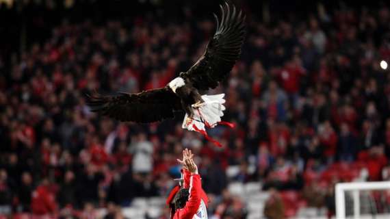 Il Benfica rifiuta un prestito all'Aek Atene: i greci hanno chiesto l'aquila Vitória