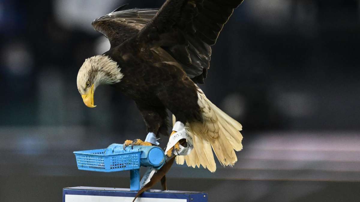 Quali sono le curiosità sulla Lazio secondo Chat GPT?
