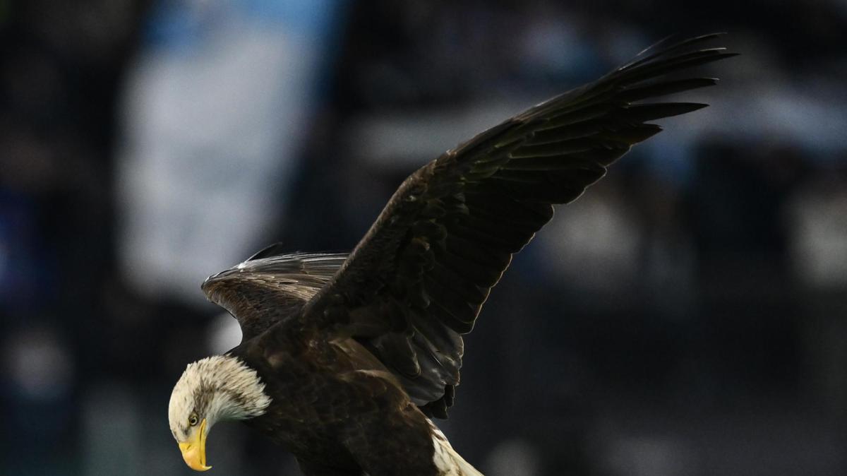 Quali sono le curiosità sulla Lazio secondo Chat GPT?