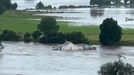 Disastro in Australia. Alluvione e invasione di ragni e serpenti - VIDEO
