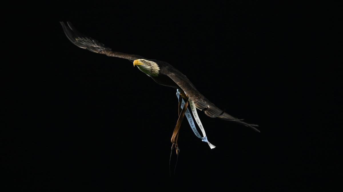 Morte Filippo Checchi, Nuova Tor Tre Teste in lutto: il cordoglio della Lazio