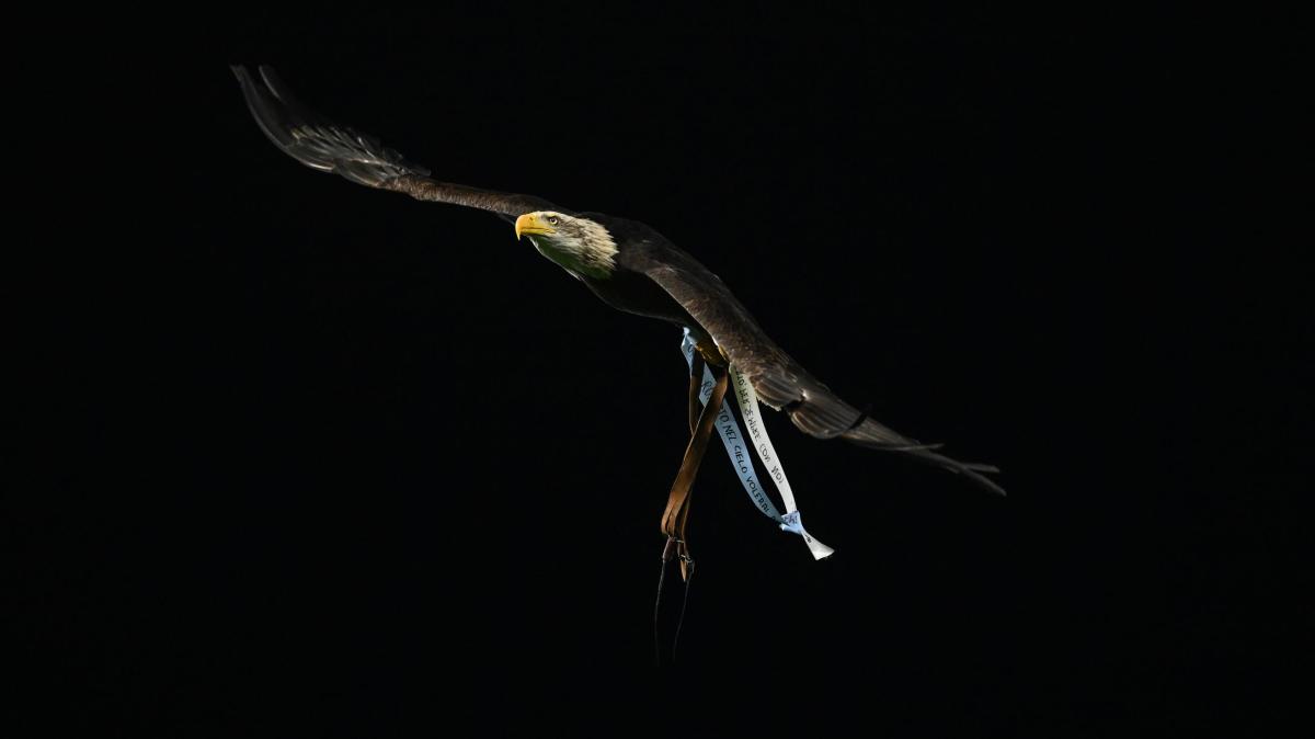 Lazio, depositato il contratto di un giovane difensore: di chi si tratta